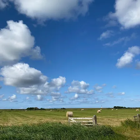 Lejlighed Knutzenswarft - Moewe *